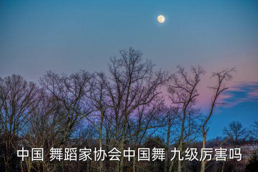 舞蹈考级九级内容,舞蹈一级考级舞蹈视频大全
