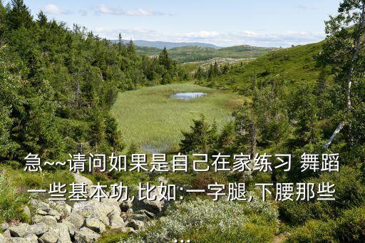 舞蹈压腿(青娃腿),舞蹈生压腿腿断视频