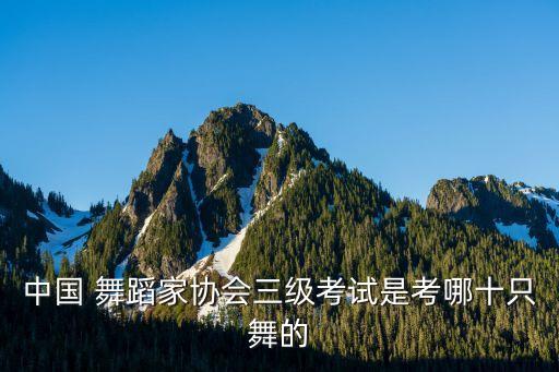 白雪公主中国舞蹈视频,中国舞蹈一级考试曲目全部视频