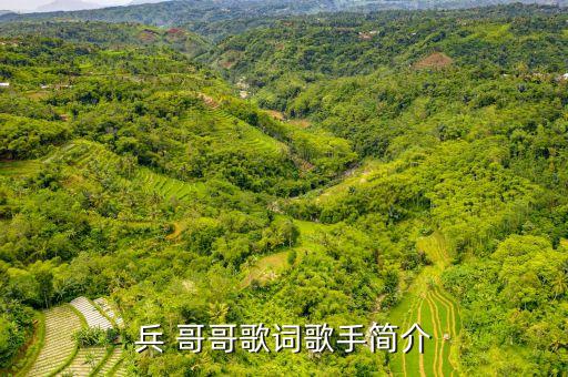 双人舞兵哥哥舞蹈视频,gee舞蹈视频双人舞