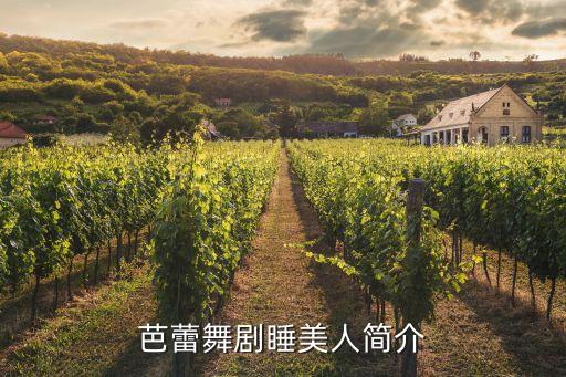 外国美女舞蹈表演,赞美女舞蹈表演的句子