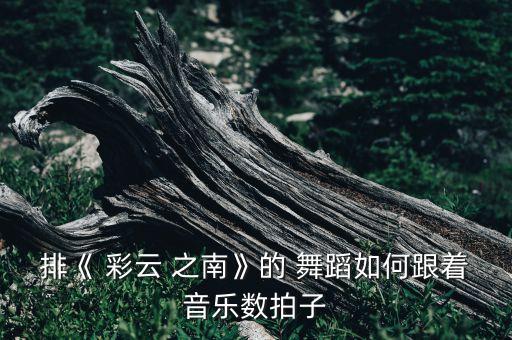 小学生彩云之南舞蹈,彩云之南舞蹈视频八级