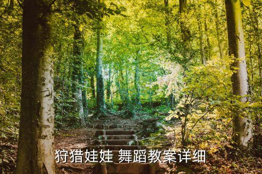 舞蹈五级该学的动作,舞蹈雪域完整视频分解动作