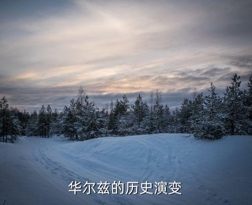 美国舞蹈史代表人物,中国hiphop舞蹈代表人物