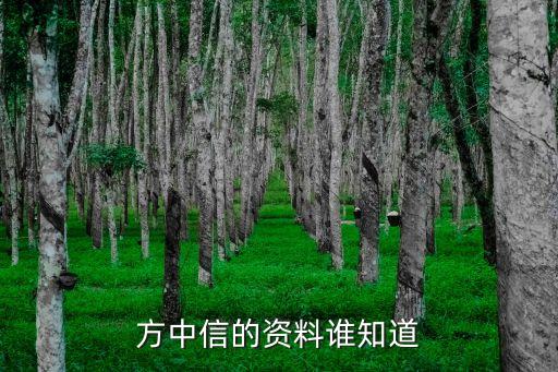 舞蹈情未了,木偶情未了 舞蹈