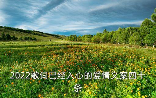 当安静你的心舞蹈