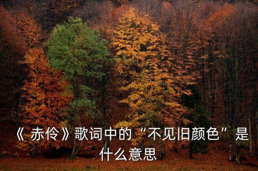舞蹈赤伶LED背景,舞蹈动感视频LED背景视频