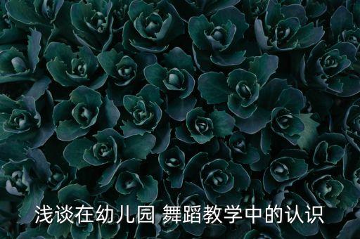 少儿舞蹈教师感悟,舞蹈教师心得体会和感悟300字