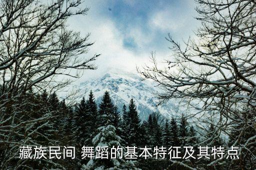 舞蹈吉祥是藏族的吗,藏族舞蹈吉祥藏历年