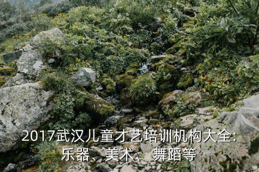 汉口哪里学舞蹈培训班,武汉汉口哪里有书法培训班