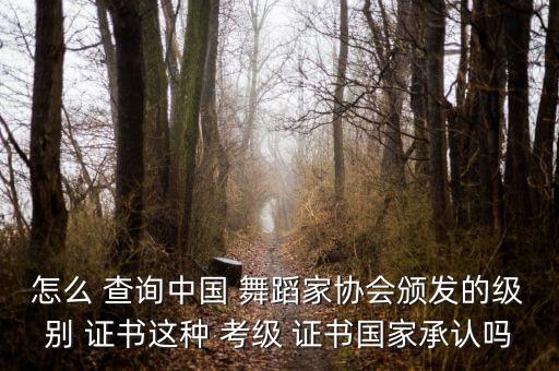 舞蹈证书考级查询,舞蹈考级证书有什么用