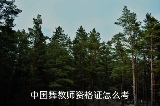 舞蹈培训班中国舞老师,安康舞玖舞蹈培训班