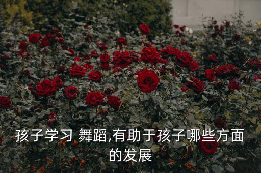 从小陪养好希管舞蹈