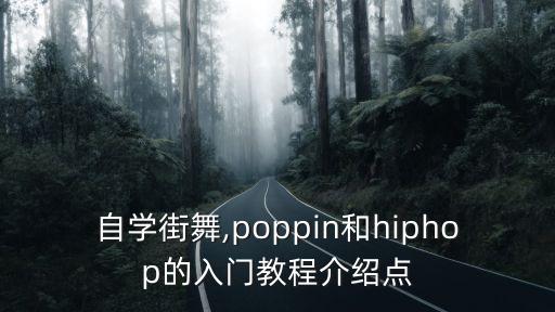 嘻哈零基础舞蹈教学视频,嘻哈小子完整版舞蹈教学视频