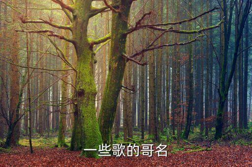 舞蹈 想你的夜,今天想你的夜最长