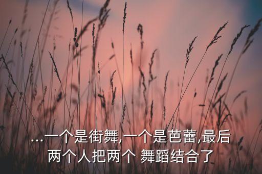 芭蕾舞双人舞蹈视频,幼儿园芭蕾舞舞蹈视频