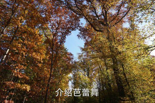 杭州皇家舞蹈学校,大庆皇家花园舞蹈学校好不好