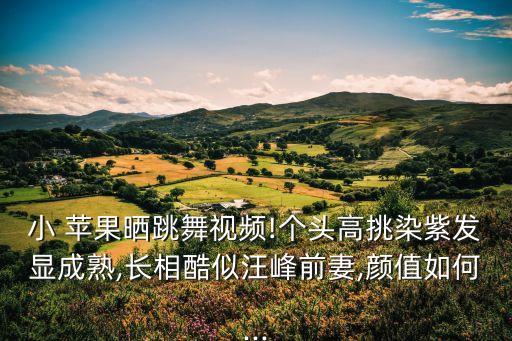 小苹果舞蹈教学手把手,正版小苹果舞蹈教学视频