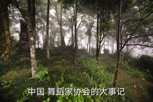 滁州大剧院舞蹈比赛图片,2016年平凉大剧院舞蹈比赛