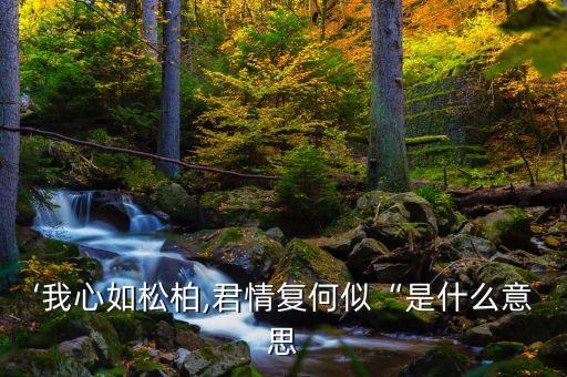 子夜歌舞蹈背景音乐是什么,舞蹈风暴少年的背景音乐是什么