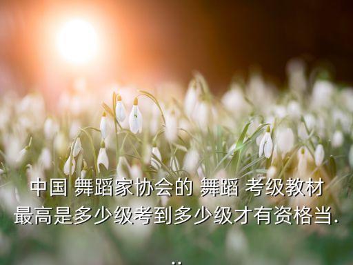 舞蹈考级十级怎么考,考级舞蹈一级