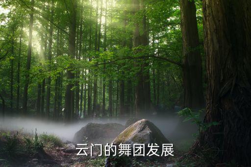 舞蹈流浪者之歌视频,小提琴独奏流浪者之歌视频
