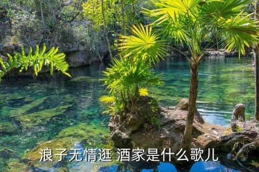 酒家舞蹈背面,小酒馆舞蹈