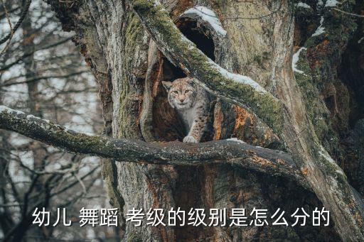 八级四版考级舞蹈,八级考级舞蹈《茶山放歌》