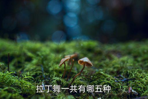 西班牙斗牛士男士舞蹈,幼儿园西班牙斗牛士舞蹈视频