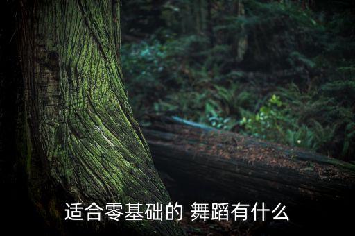 爵士舞性感简单舞蹈,简单好学爵士舞 适合舞蹈初学者