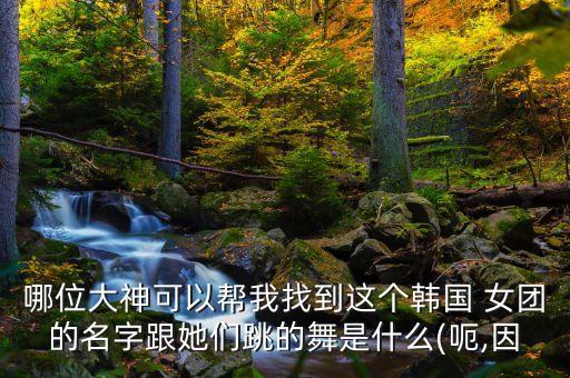 最新韩女团黑丝吊带舞蹈