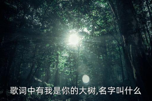 爸爸去哪儿歌曲加舞蹈