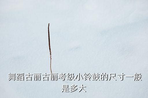 快乐的小灵鼓舞蹈视频,小灵雀少儿舞蹈视频