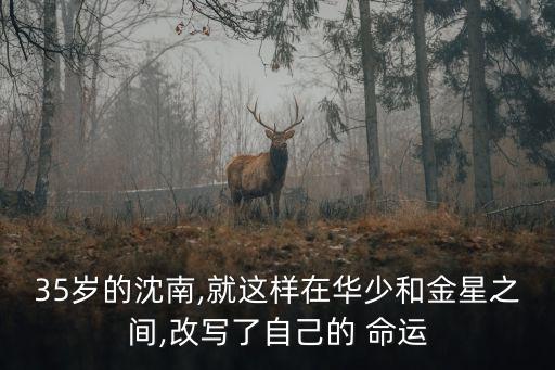 南舞命运舞蹈组合视频