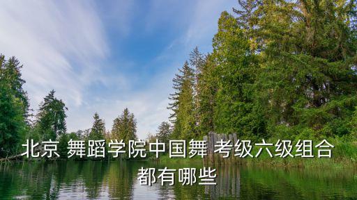 考级舞蹈6级全部视频下载,舞蹈考级费用怎么收费标准2023