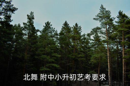 如何报北京舞蹈附中,北京舞蹈附中一年学费多少钱