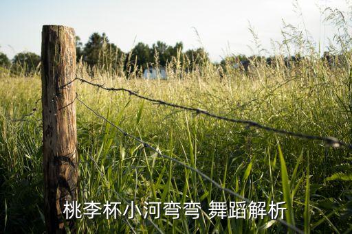 丰收的喜悦舞蹈视频,舞蹈丰收的喜悦解说词