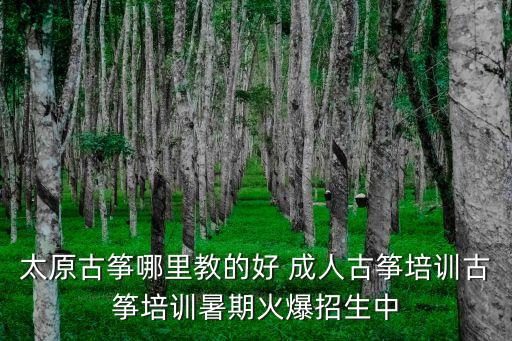 于洪区成人舞蹈培训班,沈阳市于洪区舞蹈考前培训班