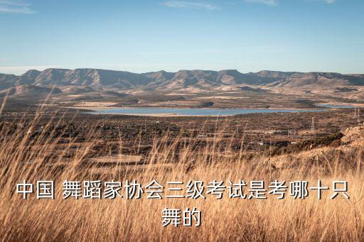 幼儿舞蹈考级鹅鹅鹅,鹅鹅鹅考级三级舞蹈考级三级
