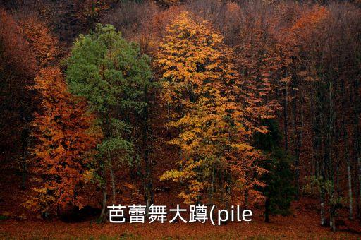 舞蹈中都有哪些蹲,性格舞蹈中都包含哪些风格