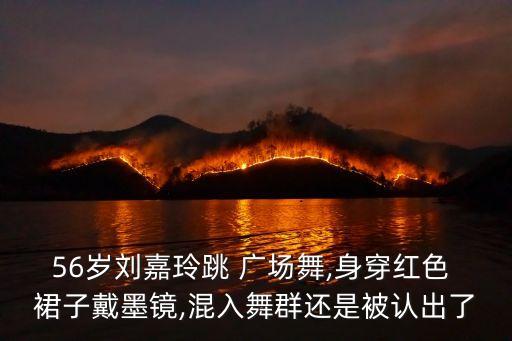 广场舞大裙子舞蹈视频大全