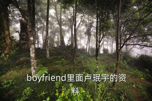 boyfriend舞蹈教学