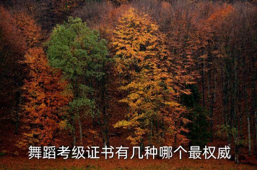 中国体育联合会舞蹈