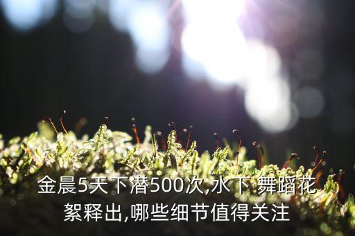水中表演的舞蹈视频,篮球舞蹈幼儿园表演视频