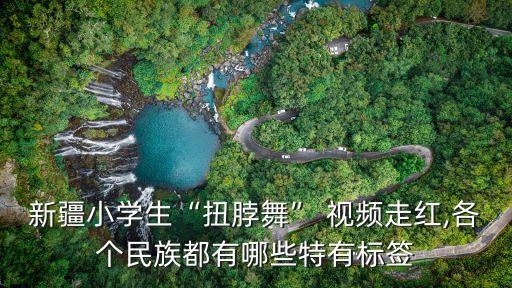 扭呀扭舞蹈视频,扭啊扭舞蹈是什么民族