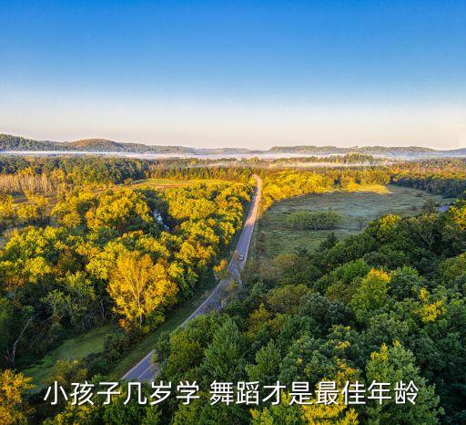 3到6岁舞蹈下载,舞蹈app下载