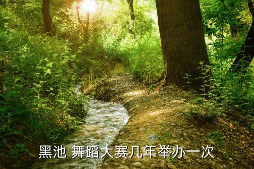 现在的舞蹈大师班有哪些