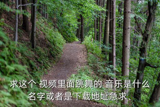 舞蹈加音乐的舞蹈视频,一个舞蹈作品先有音乐还是先有舞蹈