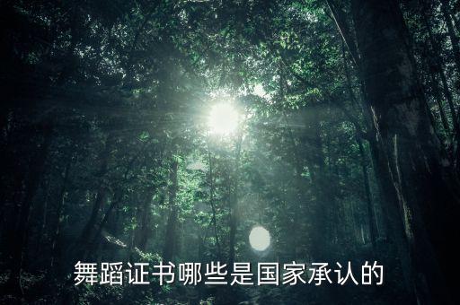 中国舞蹈家爵士舞考级二级,舞蹈家协会爵士舞考级