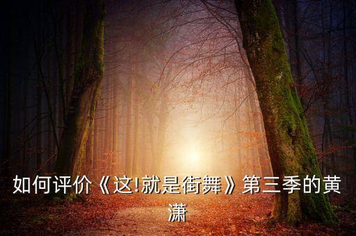 乞丐舞蹈,国王与乞丐舞蹈视频